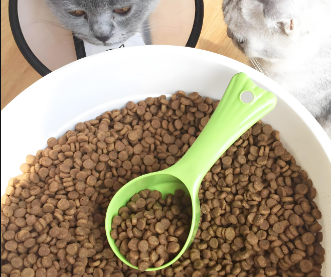 宠物食品检验测试服务:全方位守护宠物饮食安全!