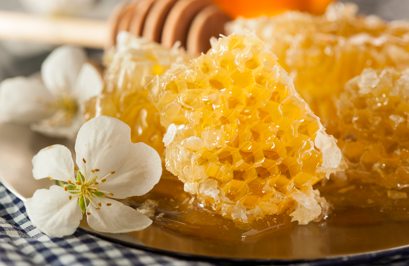 深圳市恒谱生科学仪器有限公司儿蜂蜜产品检测服务：全方位守护蜂产品质量安全！